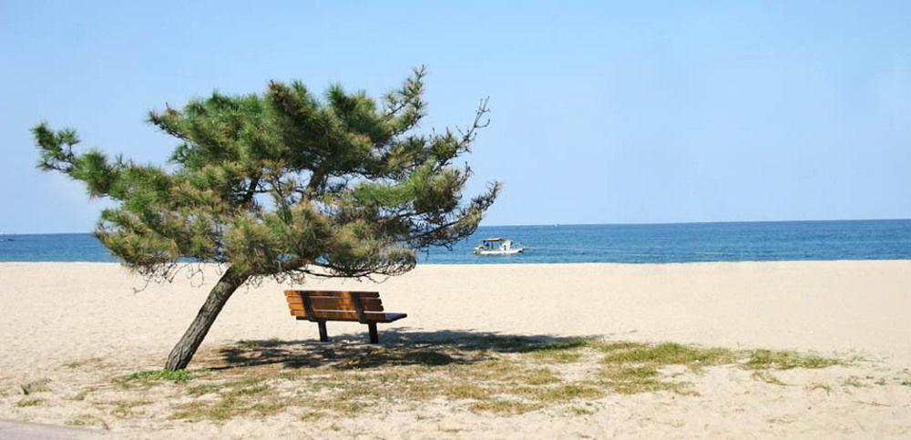 Pine Beach Jangjang Exteriér fotografie
